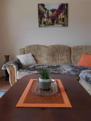 Апартаменты Apartments Osmajic Плужине Апартаменты с 2 спальнями-58