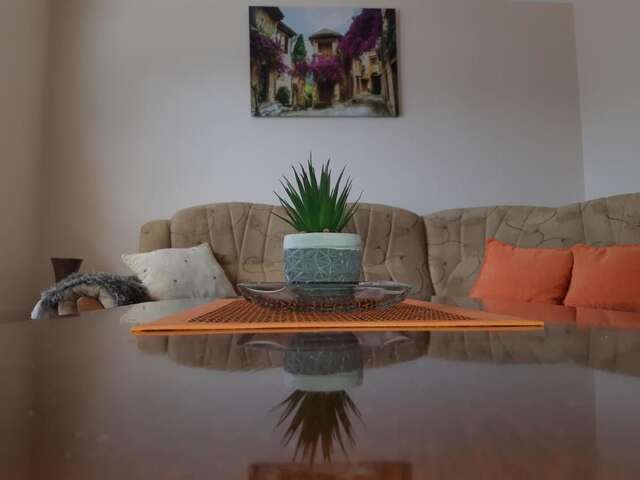 Апартаменты Apartments Osmajic Плужине-19
